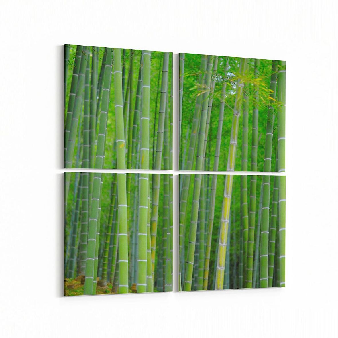 Olla 13658K4 Doğa / Manzara Görseli Kare 4'lü Kanvas Tablo (Ölçü: 145X145)