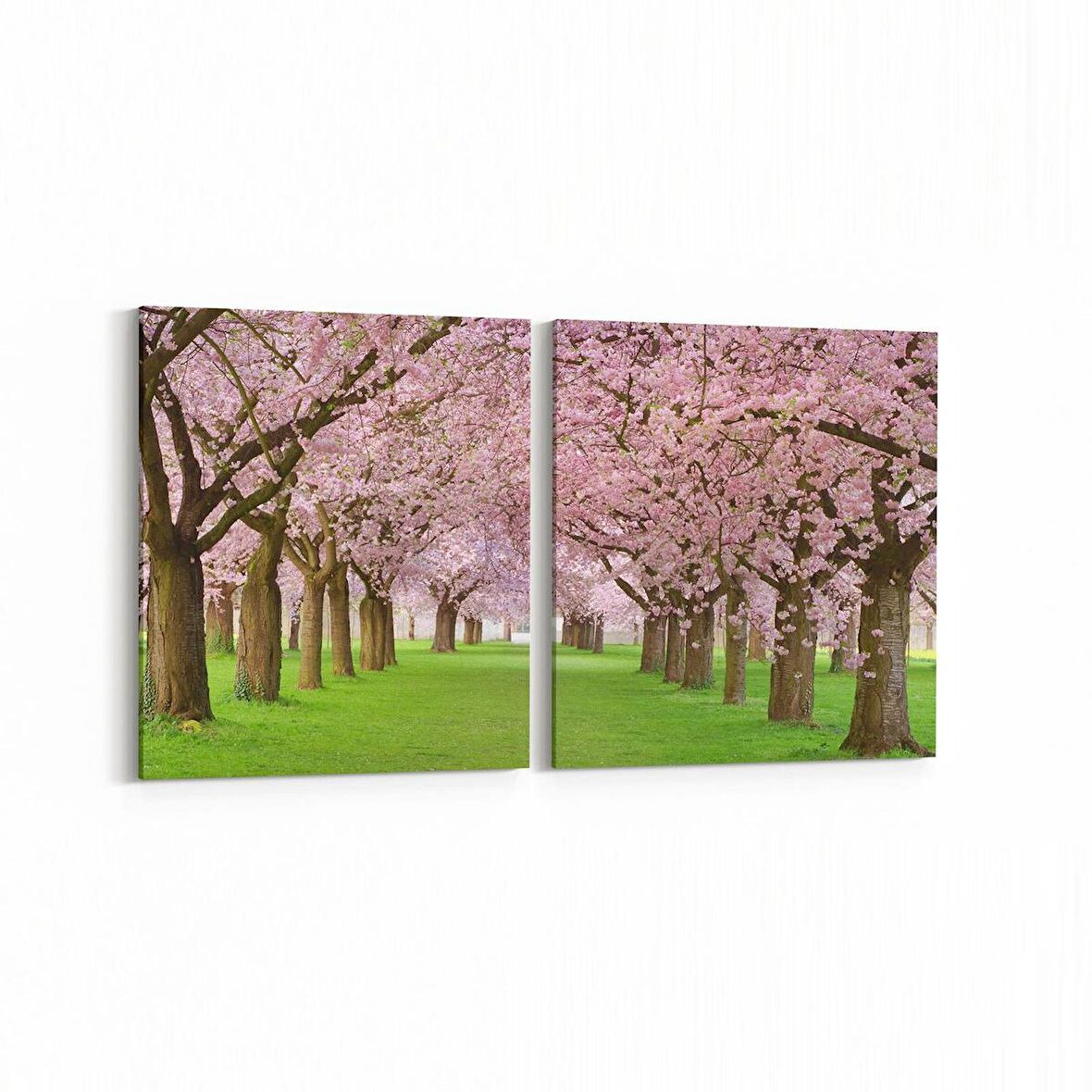 Olla 14054K2Y Doğa / Manzara Görseli Kare 2'li Yatay Kanvas Tablo (Ölçü: 145X70)