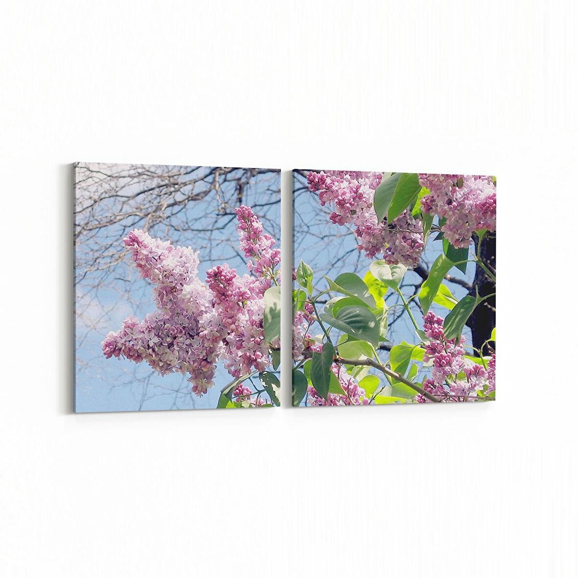 Olla 10853K2Y Ağaç Görseli Kare 2'li Yatay Kanvas Tablo (Ölçü: 65X30)