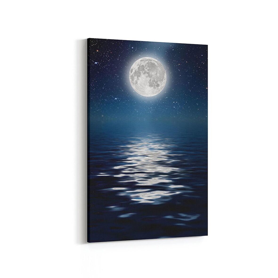 Olla 14734D Gece Gökyüzü Görseli Dikey Kanvas Tablo (Ölçü: 60X90)