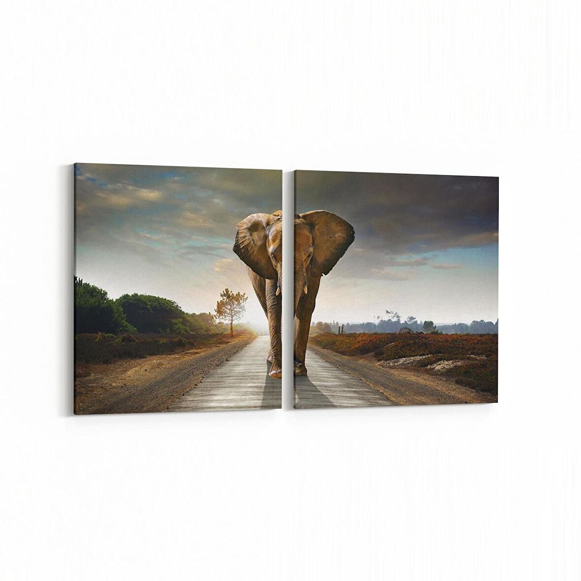 Olla 12648K2Y Hayvanlar Alemi Görseli Kare 2'li Yatay Kanvas Tablo (Ölçü: 145X70)