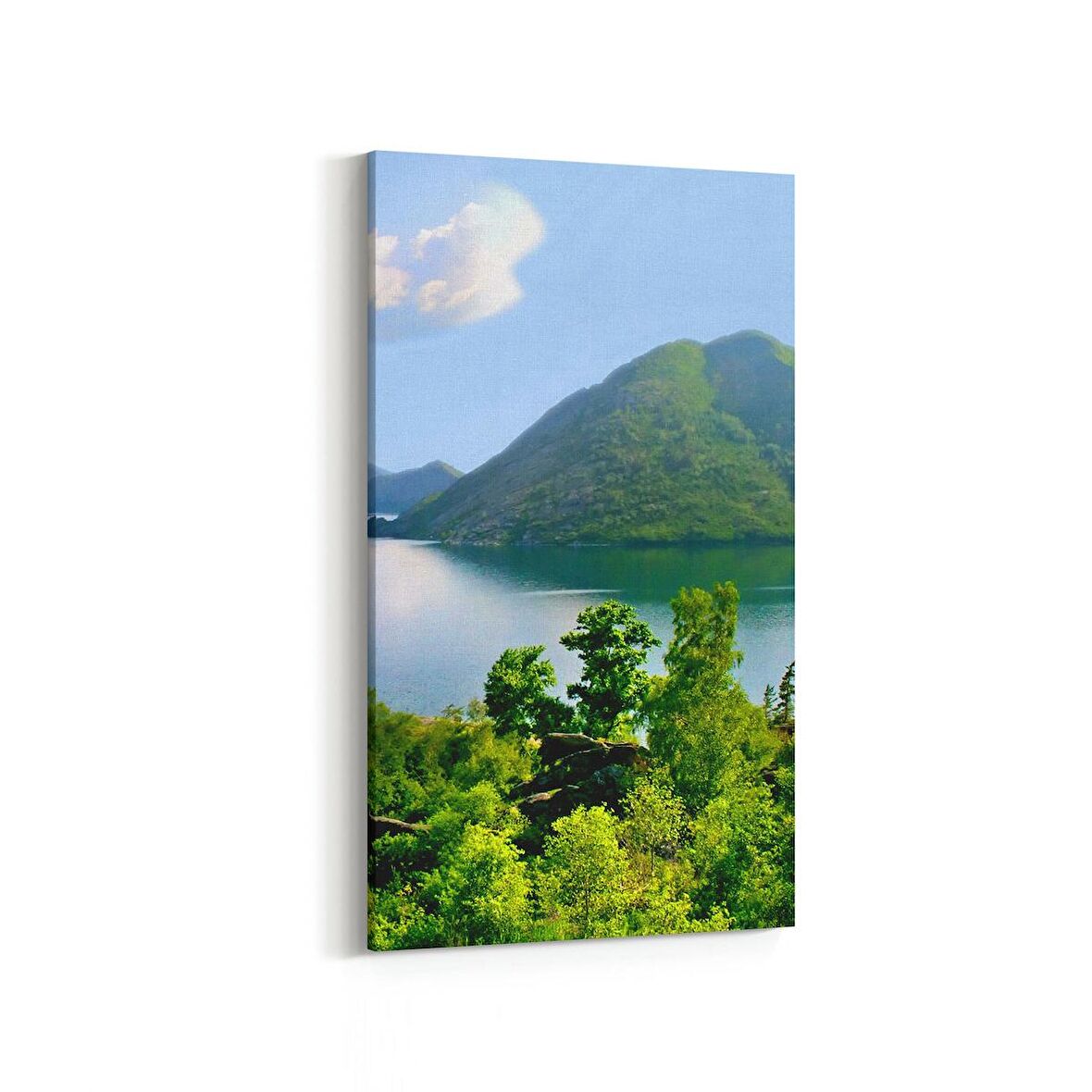 Olla 14058DD Doğa / Manzara Görseli Dikey Dar Kanvas Tablo (Ölçü: 40X80)