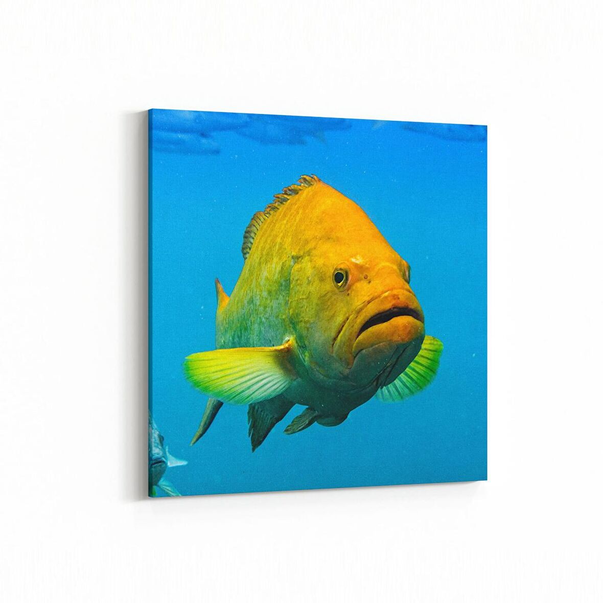 Olla 12092K Akvaryum / Balık Görseli Kare Kanvas Tablo (Ölçü: 100X100)