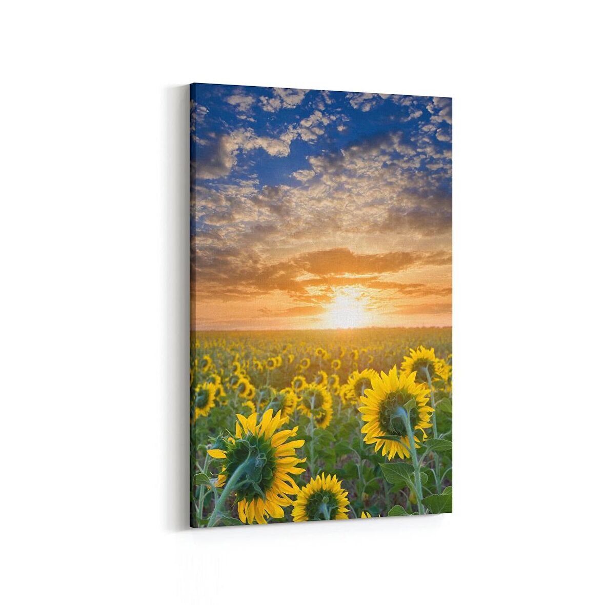 Olla 15916D Günbatımı Görseli Dikey Kanvas Tablo (Ölçü: 60X90)
