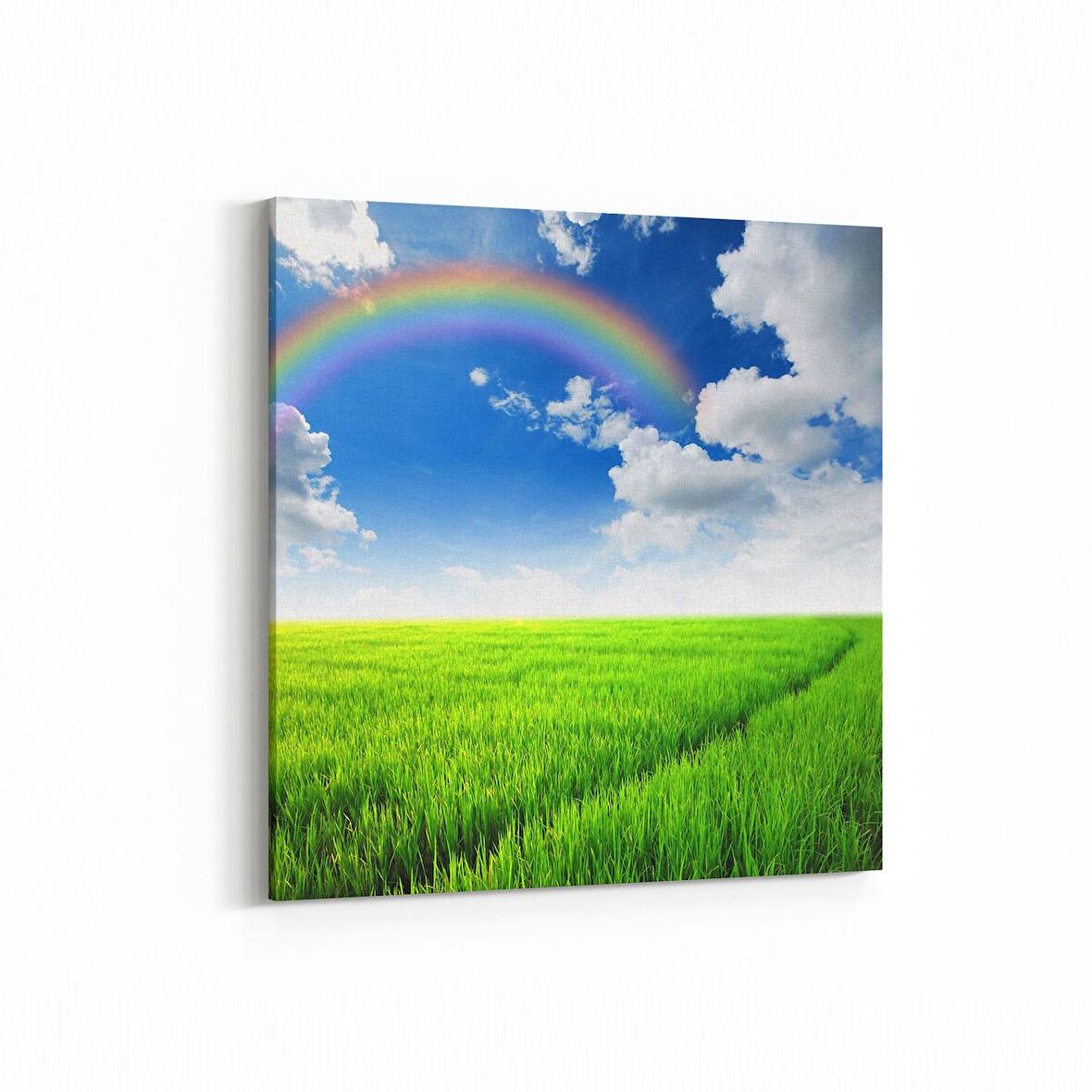 Olla 14622K Doğa / Manzara Görseli Kare Kanvas Tablo (Ölçü: 25X25)