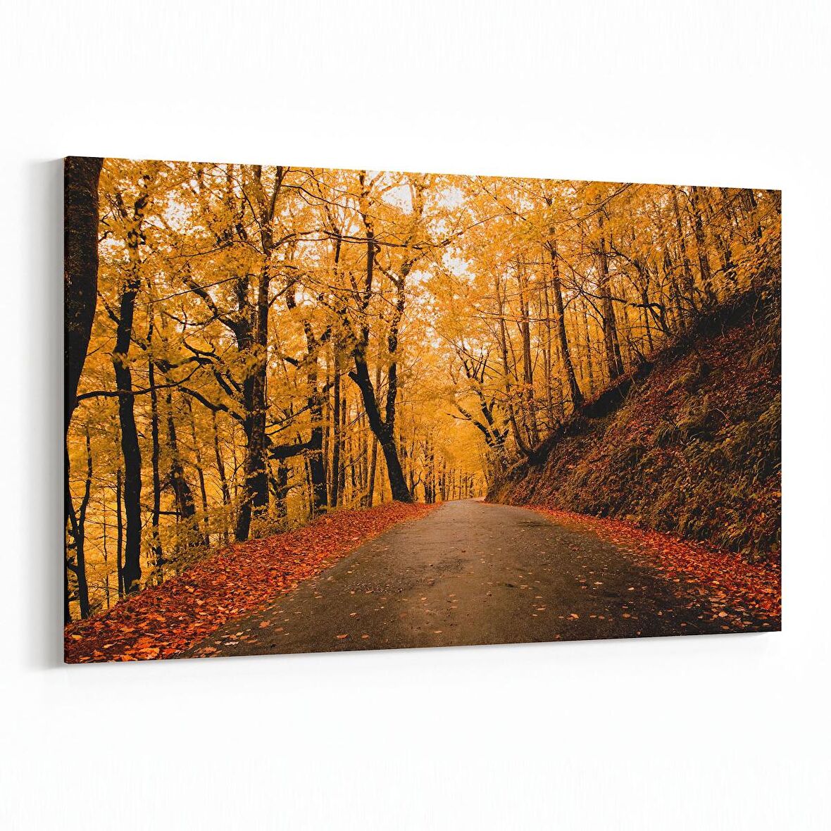 Olla 14330Y Doğa / Manzara Görseli Yatay Kanvas Tablo (Ölçü: 70X50)