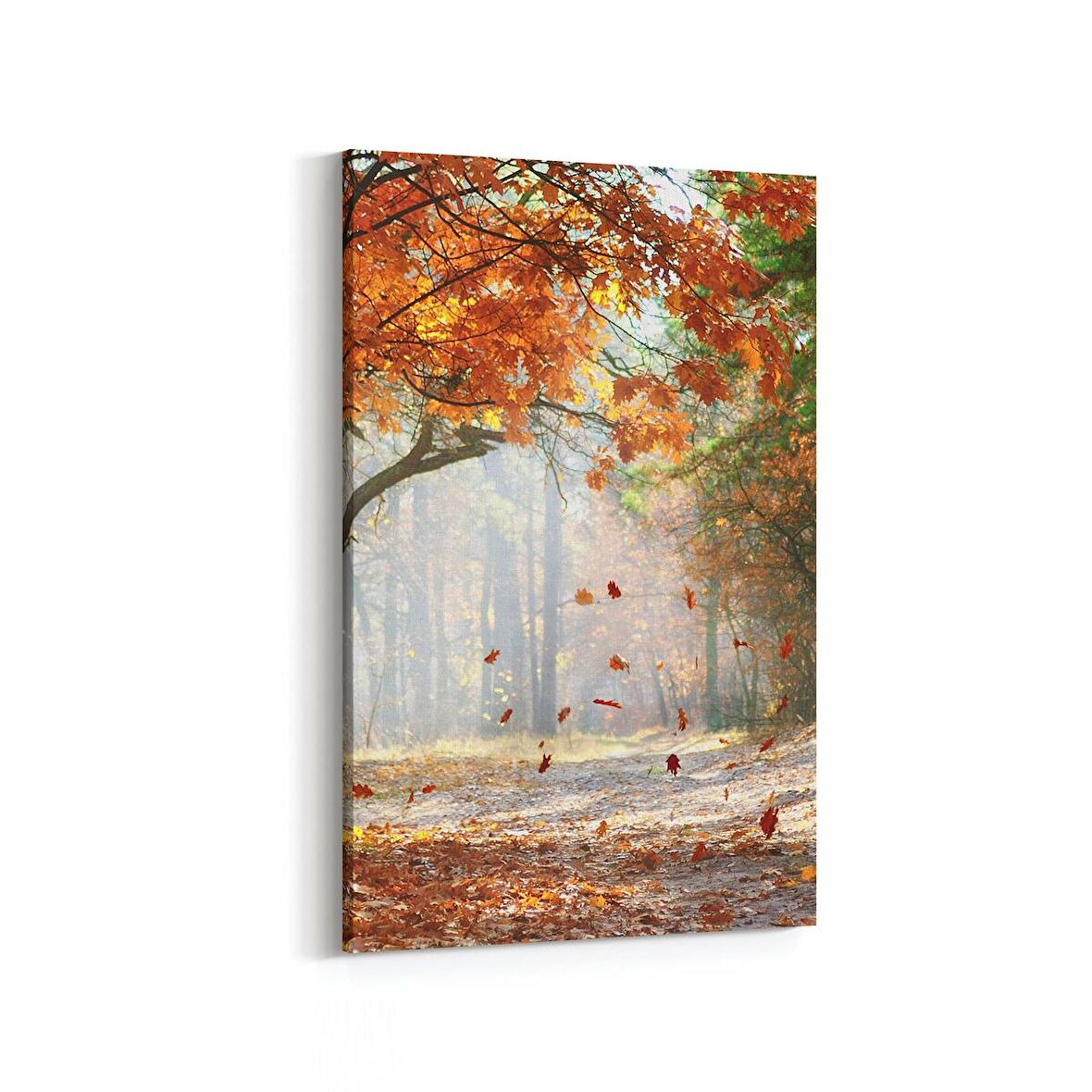 Olla 14558D Doğa / Manzara Görseli Dikey Kanvas Tablo (Ölçü: 60X90)