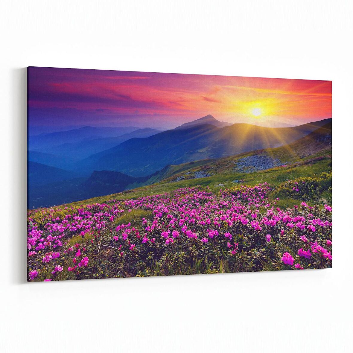 Olla 16139Y Günbatımı Görseli Yatay Kanvas Tablo (Ölçü: 45X30)