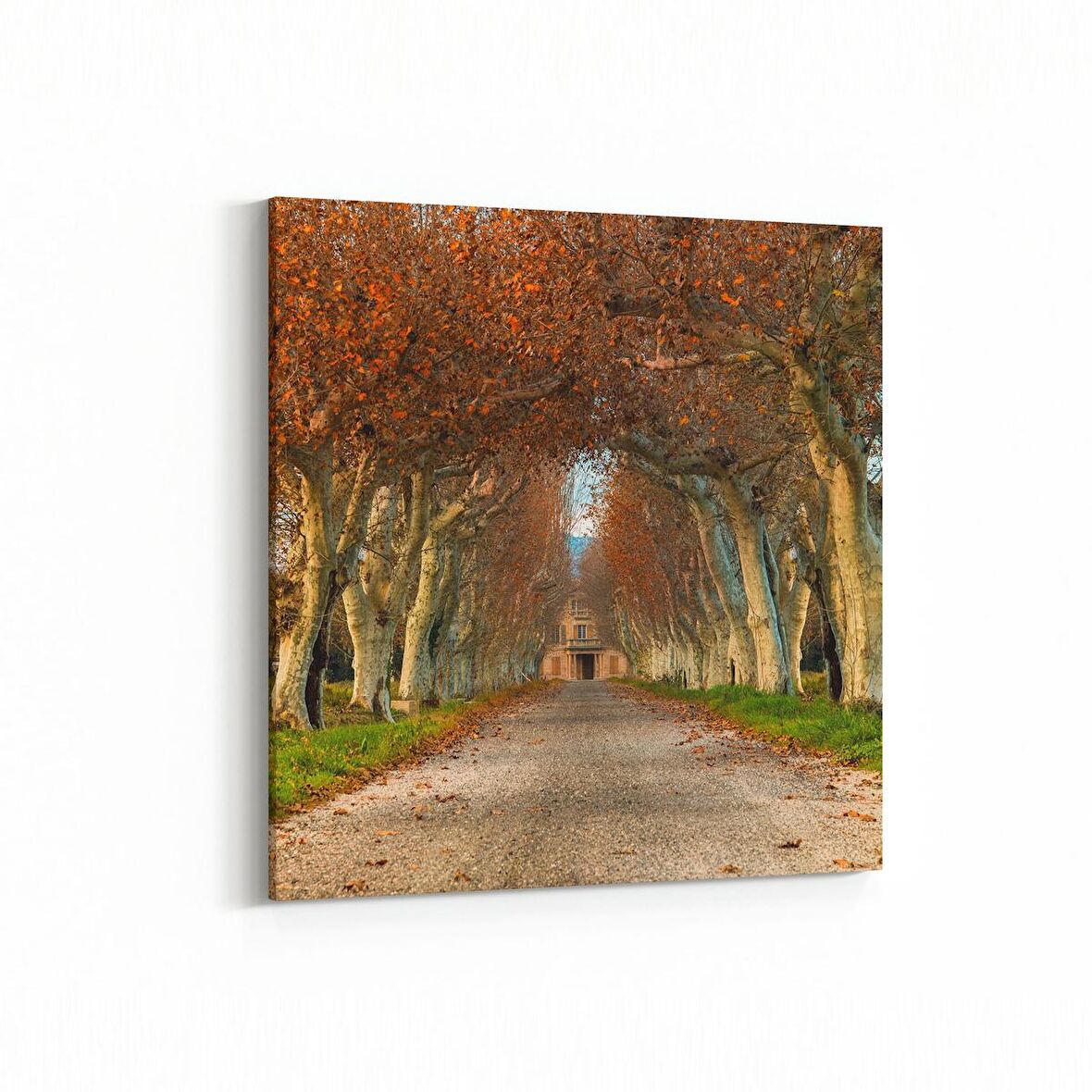 Olla 13353K Doğa / Manzara Görseli Kare Kanvas Tablo (Ölçü: 30X30)