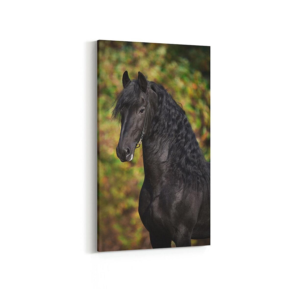 Olla 12509DD Hayvanlar Alemi Görseli Dikey Dar Kanvas Tablo (Ölçü: 60X120)