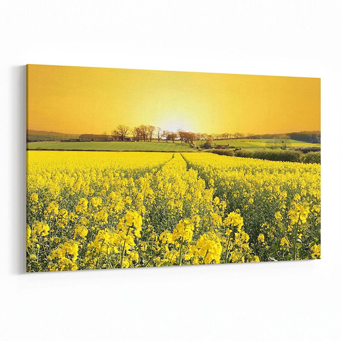 Olla 13536Y Doğa / Manzara Görseli Yatay Kanvas Tablo (Ölçü: 150X100)