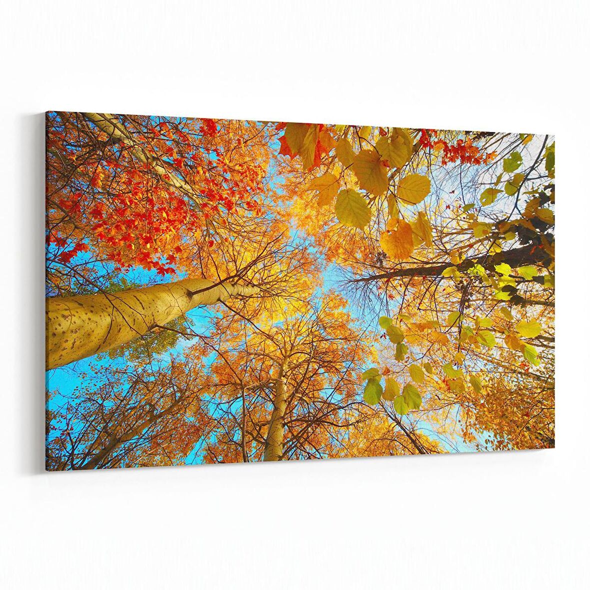 Olla 10489Y Ağaç Görseli Yatay Kanvas Tablo (Ölçü: 150X100)