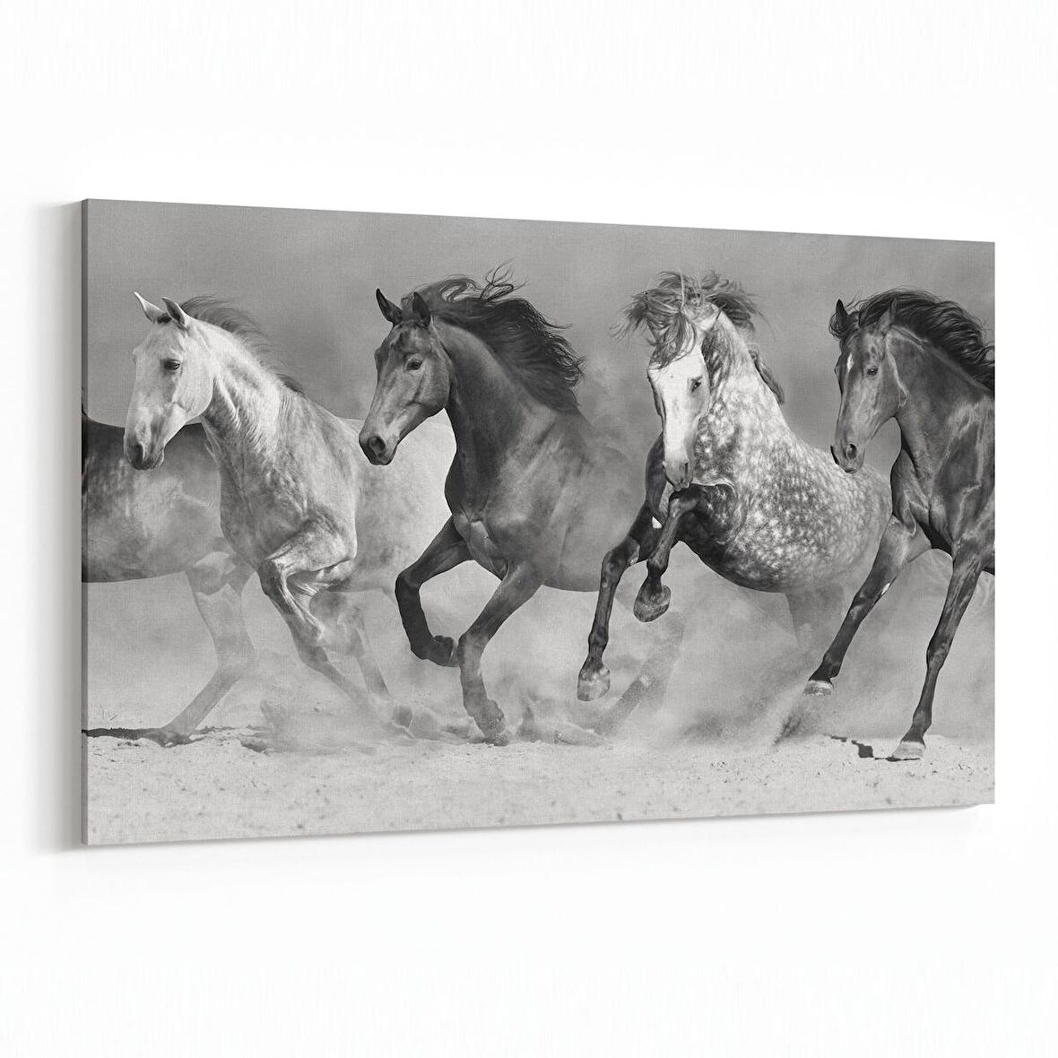 Olla 12462Y Hayvanlar Alemi Görseli Yatay Kanvas Tablo (Ölçü: 30X20)