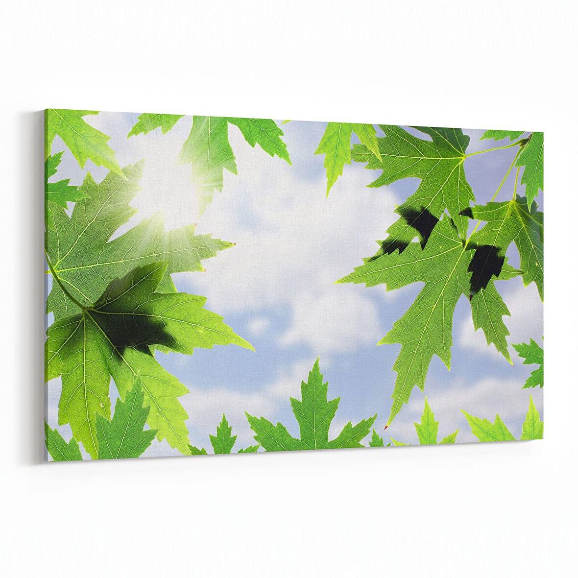 Olla 10484Y Ağaç Görseli Yatay Kanvas Tablo (Ölçü: 30X20)