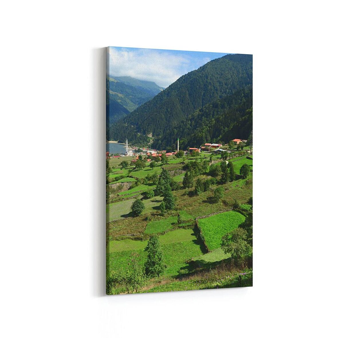 Olla 18890D Yapı Görseli Dikey Kanvas Tablo (Ölçü: 100X150)