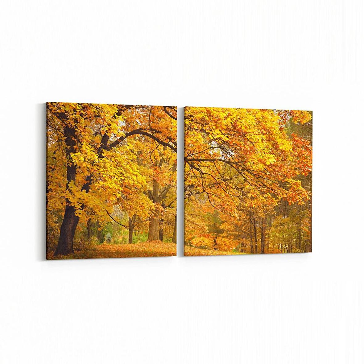 Olla 13229K2Y Doğa / Manzara Görseli Kare 2'li Yatay Kanvas Tablo (Ölçü: 65X30)