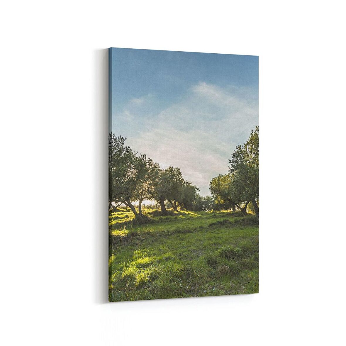 Olla 14244D Doğa / Manzara Görseli Dikey Kanvas Tablo (Ölçü: 60X90)