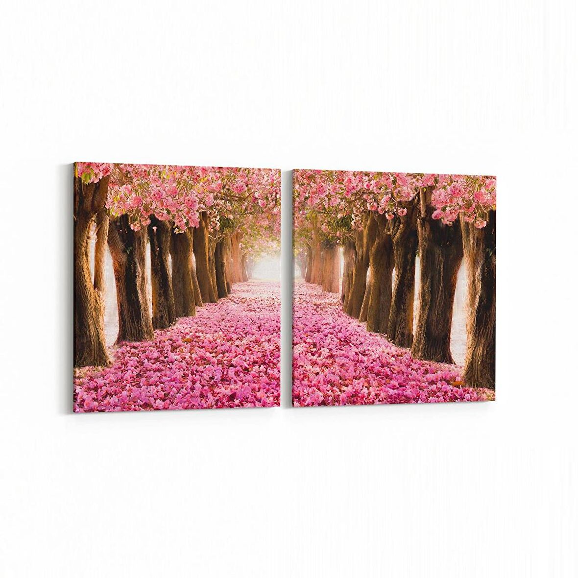 Olla 14346K2Y Doğa / Manzara Görseli Kare 2'li Yatay Kanvas Tablo (Ölçü: 145X70)