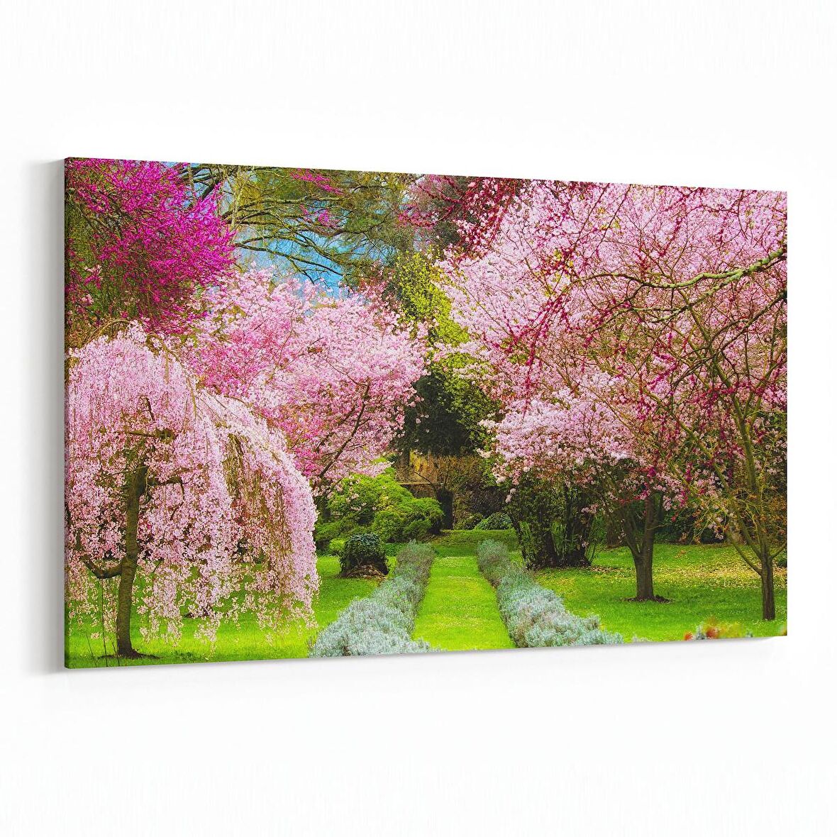 Olla 13895Y Doğa / Manzara Görseli Yatay Kanvas Tablo (Ölçü: 45X30)