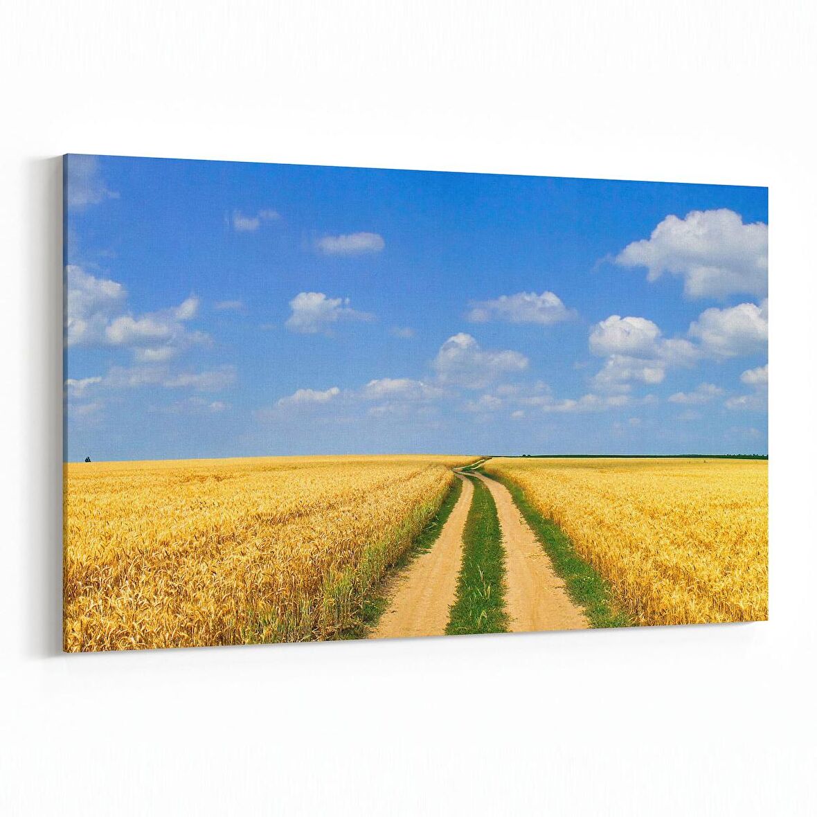 Olla 13214Y Doğa / Manzara Görseli Yatay Kanvas Tablo (Ölçü: 150X100)