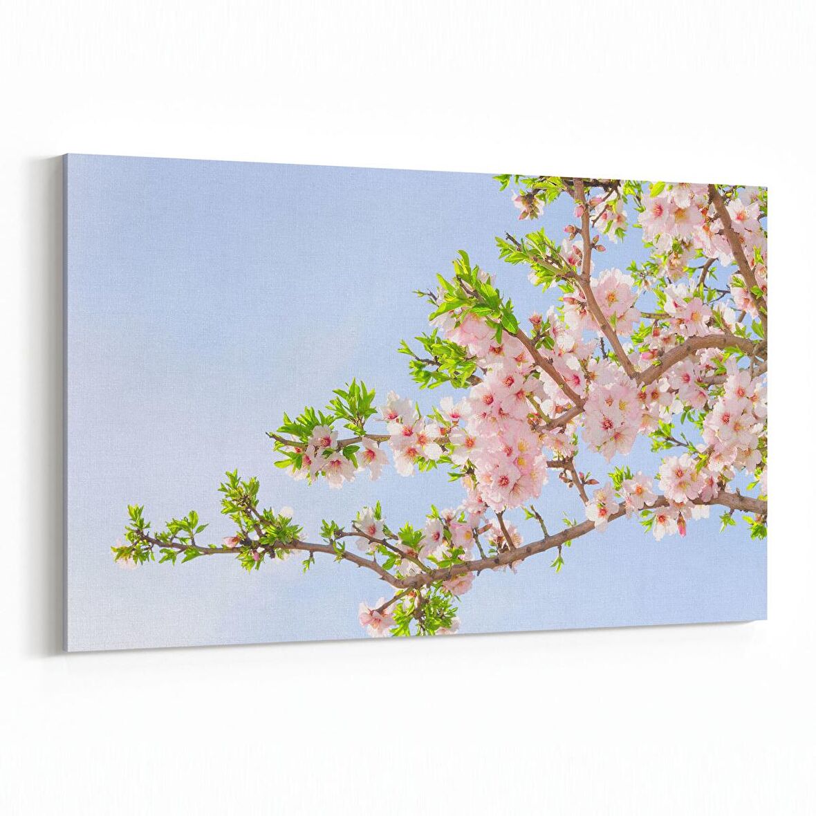 Olla 10660Y Ağaç Görseli Yatay Kanvas Tablo (Ölçü: 150X100)