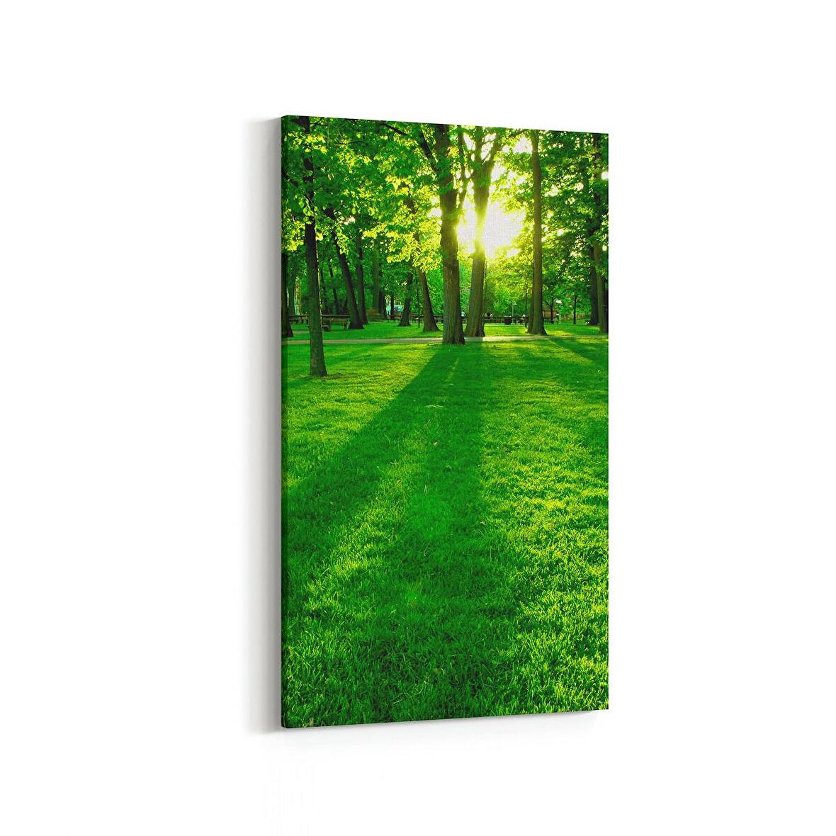 Olla 13929DD Doğa / Manzara Görseli Dikey Dar Kanvas Tablo (Ölçü: 40X80)