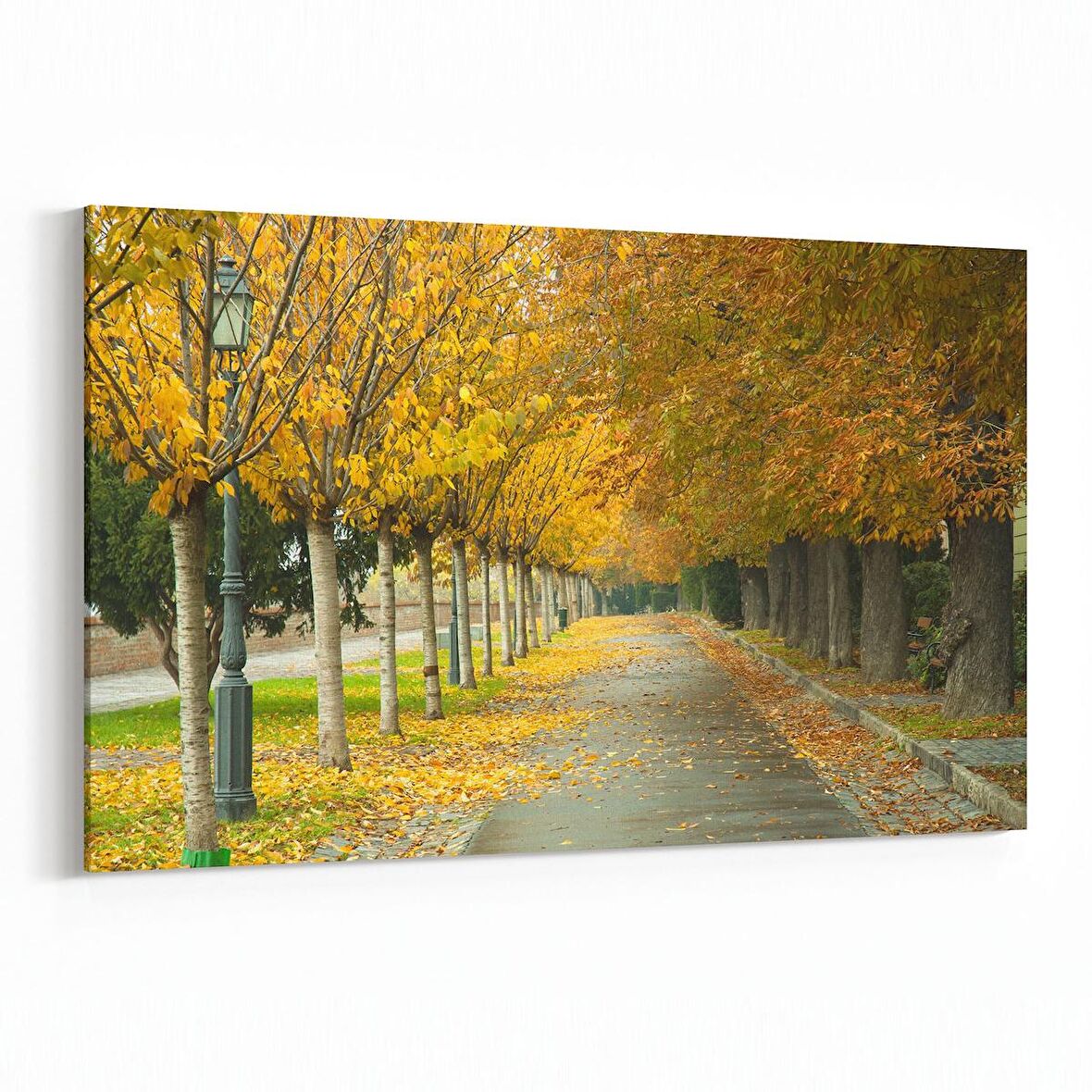 Olla 13525Y Doğa / Manzara Görseli Yatay Kanvas Tablo (Ölçü: 90X60)