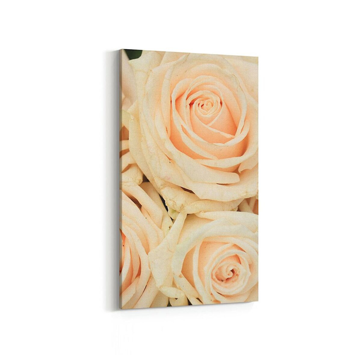 Olla 11619DD Çiçek Görseli Dikey Dar Kanvas Tablo (Ölçü: 40X80)