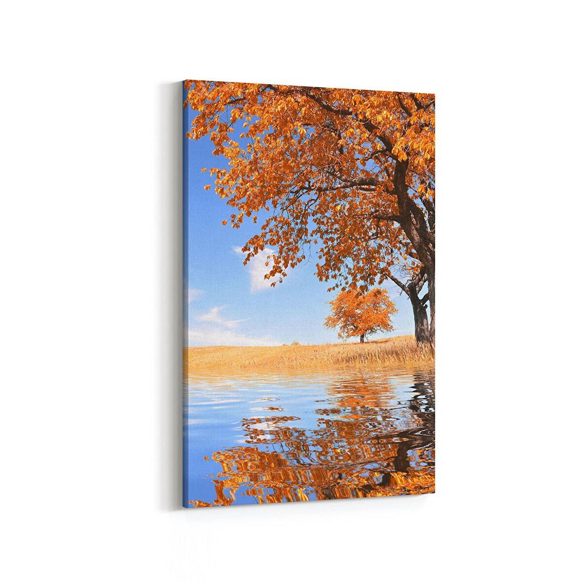 Olla 13488D Doğa / Manzara Görseli Dikey Kanvas Tablo (Ölçü: 100X150)