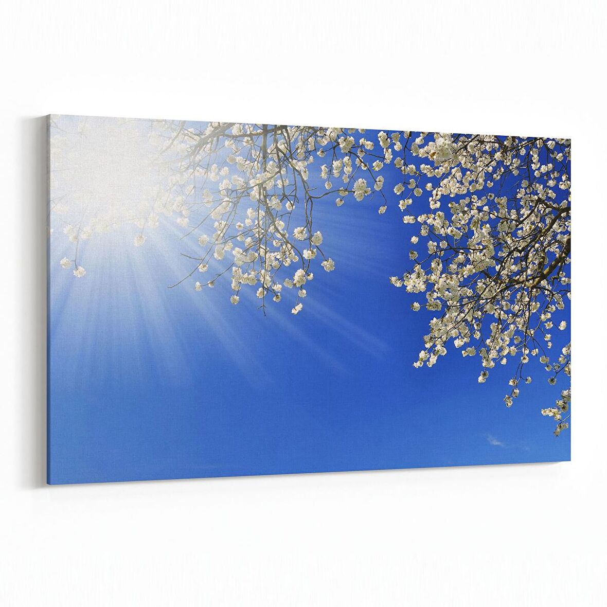 Olla 10531Y Ağaç Görseli Yatay Kanvas Tablo (Ölçü: 30X20)