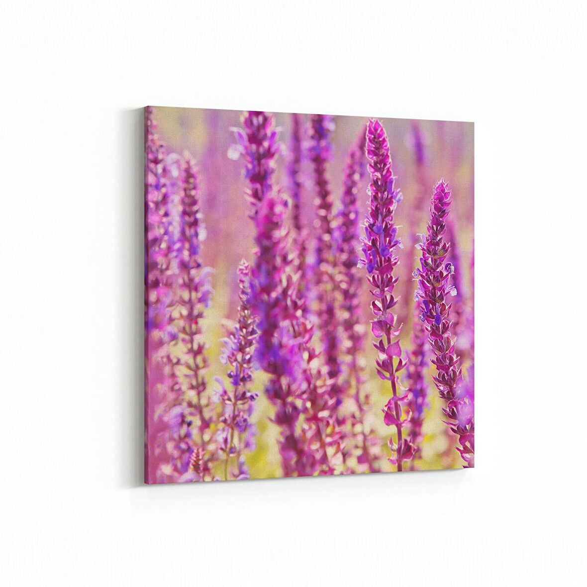 Olla 11578K Çiçek Görseli Kare Kanvas Tablo (Ölçü: 25X25)