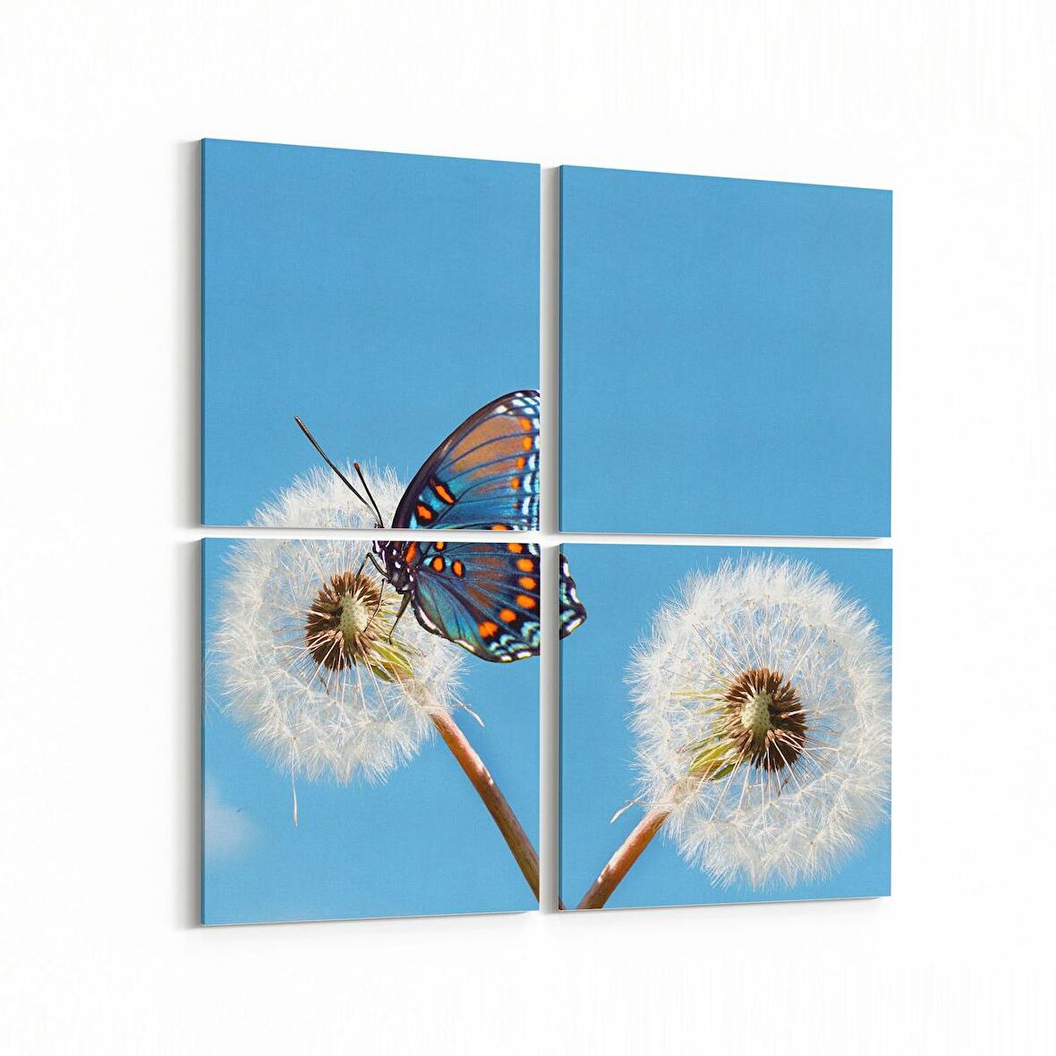 Olla 12670K4 Hayvanlar Alemi Görseli Kare 4'lü Kanvas Tablo (Ölçü: 145X145)