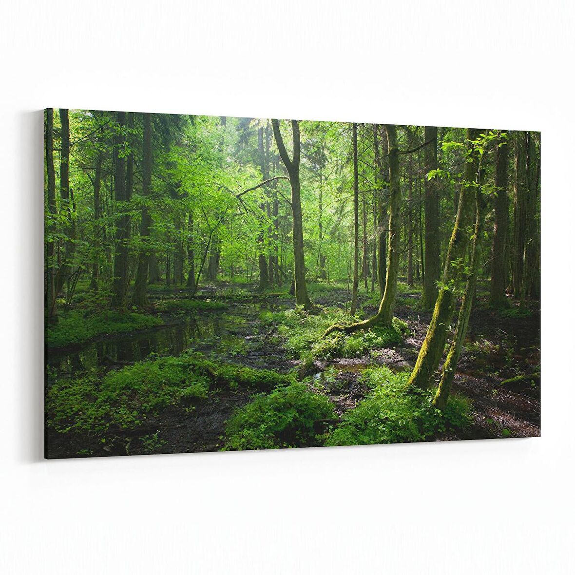 Olla 14517Y Doğa / Manzara Görseli Yatay Kanvas Tablo (Ölçü: 45X30)