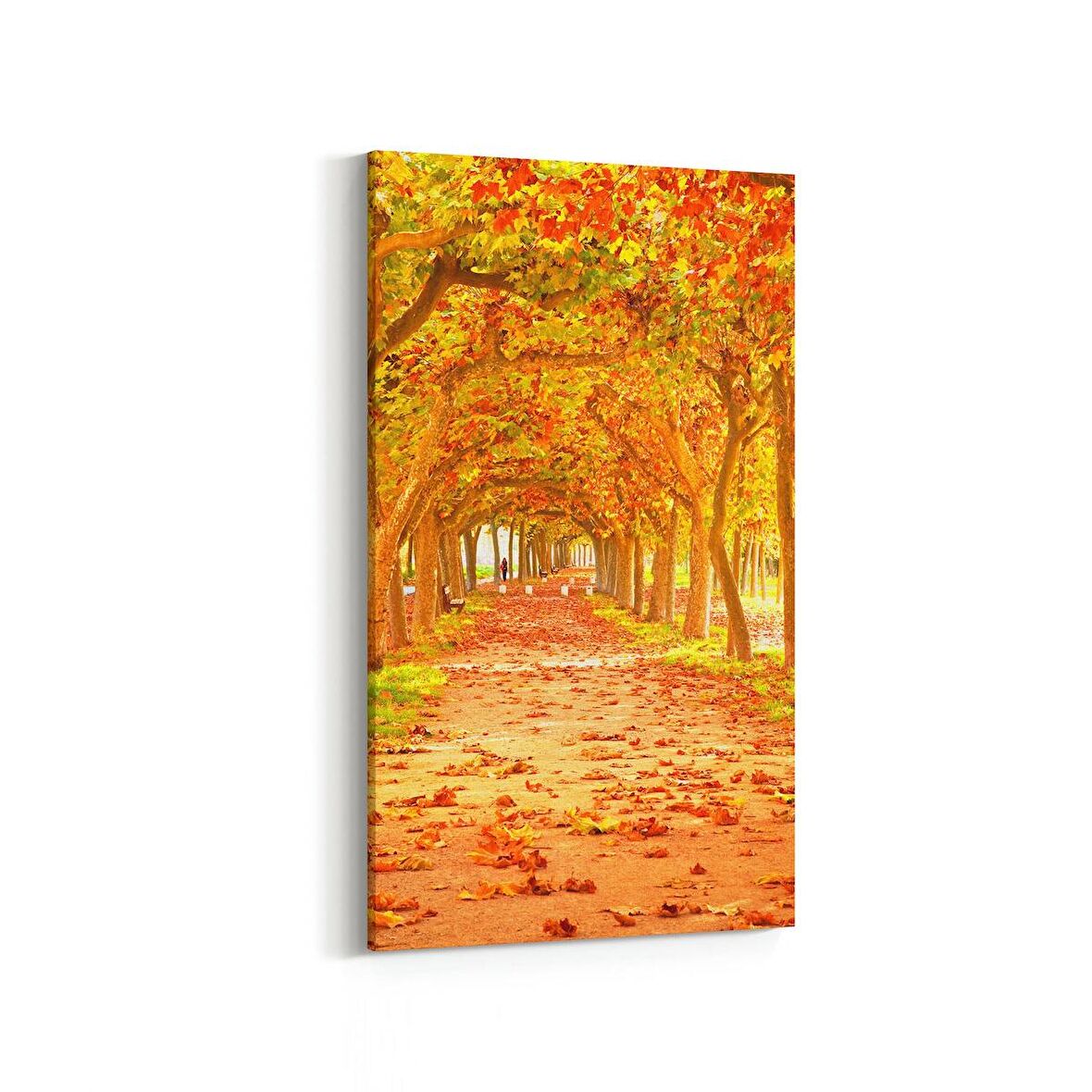 Olla 14554DD Doğa / Manzara Görseli Dikey Dar Kanvas Tablo (Ölçü: 60X120)