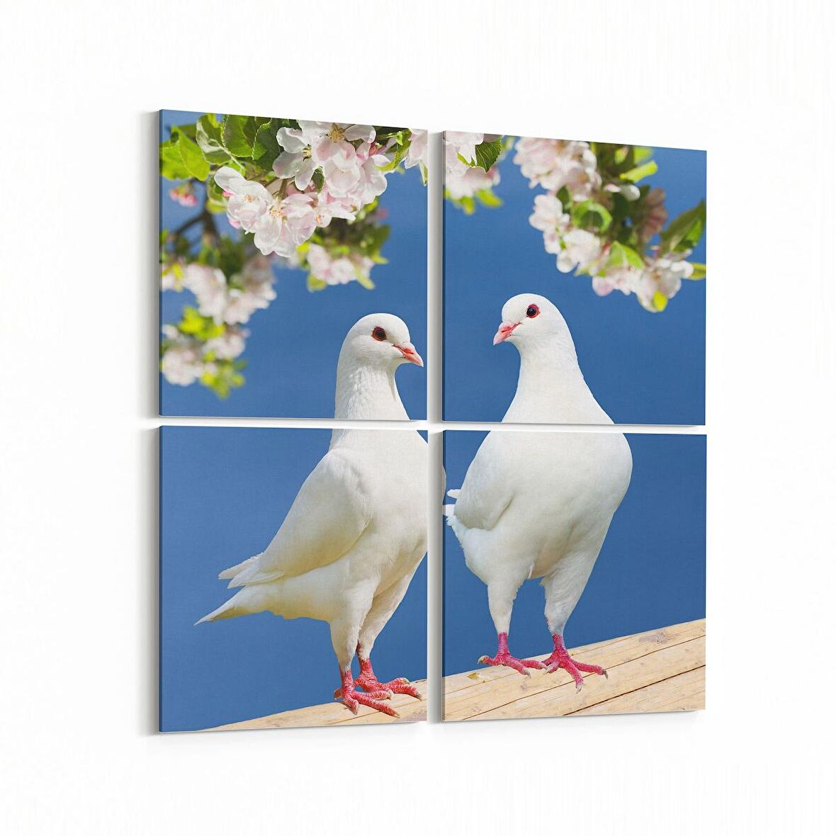 Olla 12567K4 Hayvanlar Alemi Görseli Kare 4'lü Kanvas Tablo (Ölçü: 125X125)