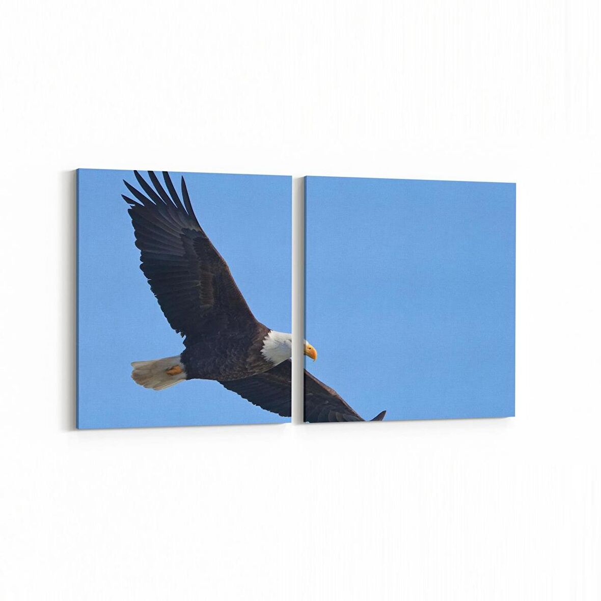 Olla 12692K2Y Hayvanlar Alemi Görseli Kare 2'li Yatay Kanvas Tablo (Ölçü: 125X60)