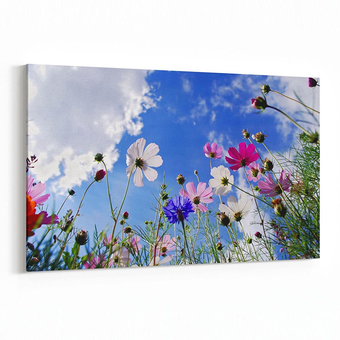 Olla 10808Y Ağaç Görseli Yatay Kanvas Tablo (Ölçü: 70X50)