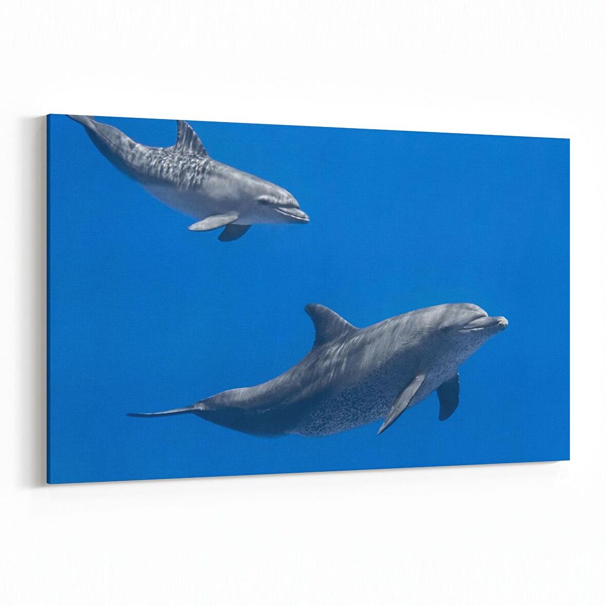 Olla 12951Y Deniz / Okyanus Görseli Yatay Kanvas Tablo (Ölçü: 150X100)