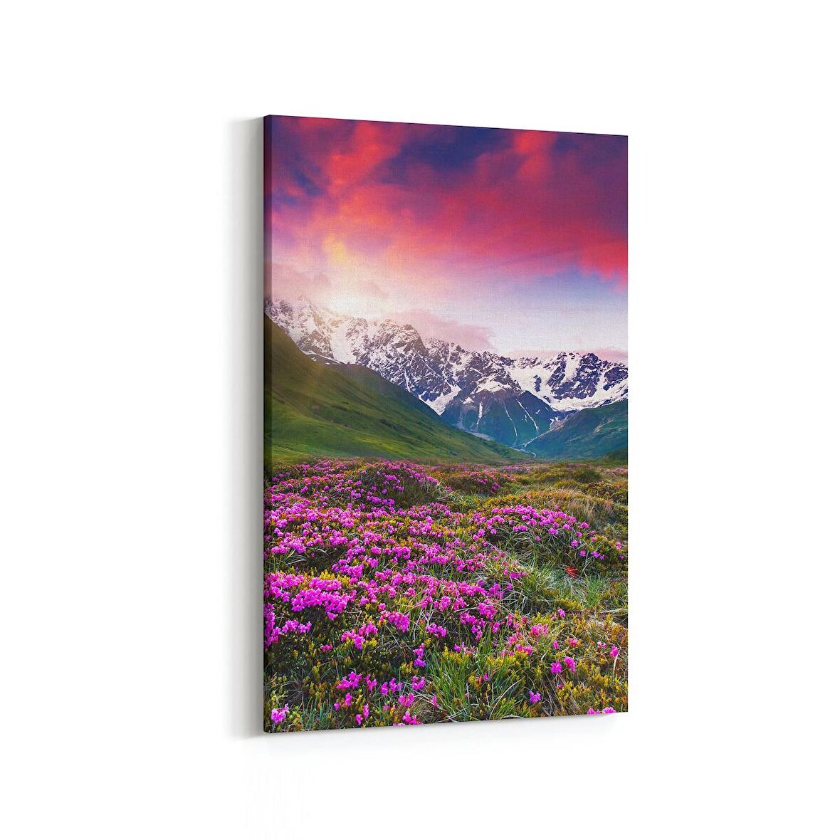 Olla 13612D Doğa / Manzara Görseli Dikey Kanvas Tablo (Ölçü: 60X90)