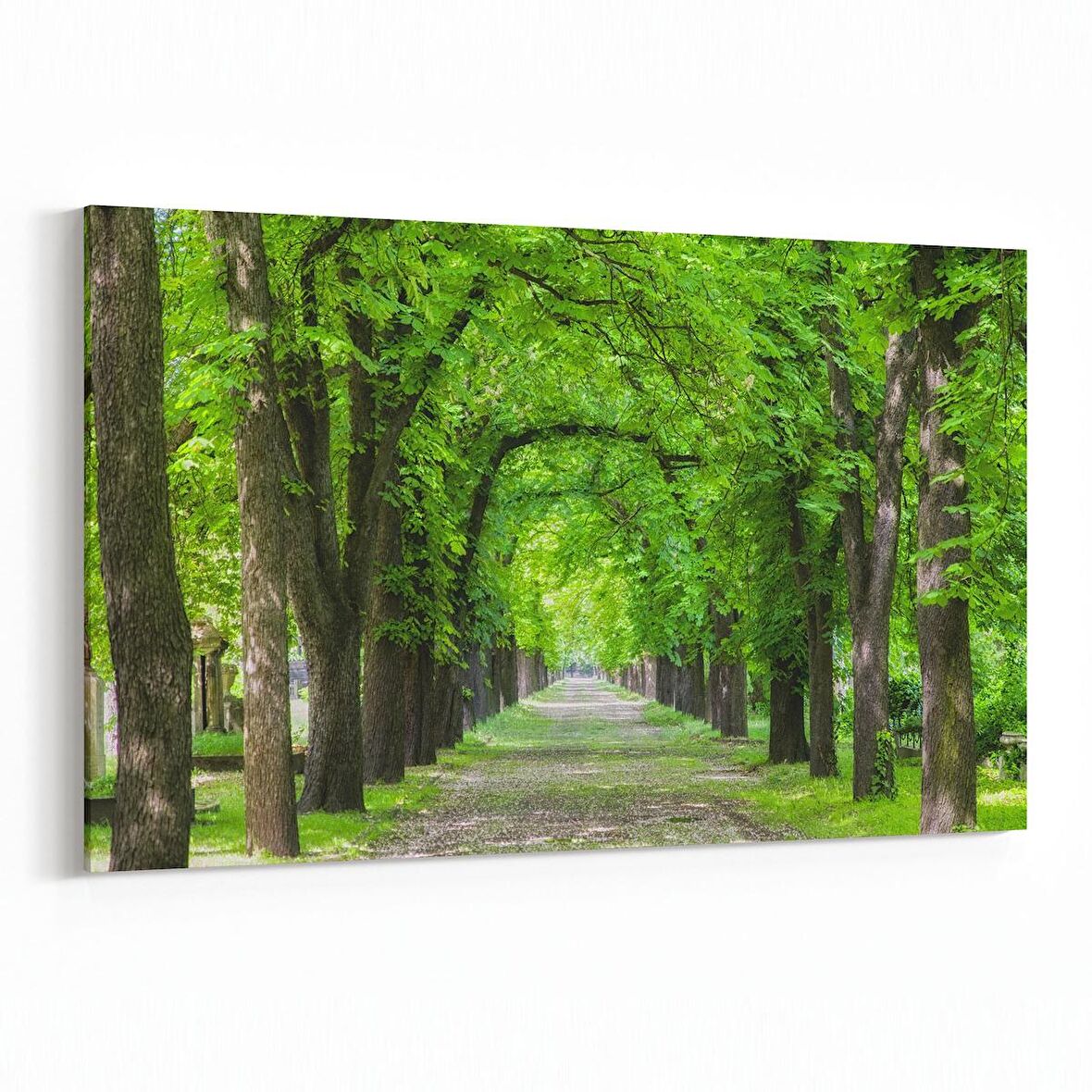 Olla 14389Y Doğa / Manzara Görseli Yatay Kanvas Tablo (Ölçü: 30X20)