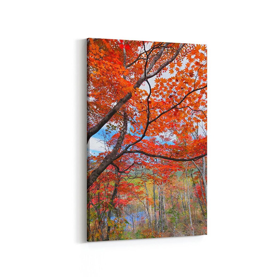 Olla 13256D Doğa / Manzara Görseli Dikey Kanvas Tablo (Ölçü: 100X150)