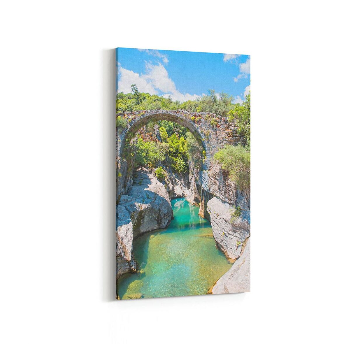 Olla 14420DD Doğa / Manzara Görseli Dikey Dar Kanvas Tablo (Ölçü: 40X80)