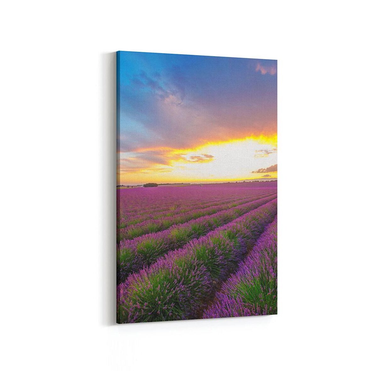 Olla 16094D Günbatımı Görseli Dikey Kanvas Tablo (Ölçü: 60X90)