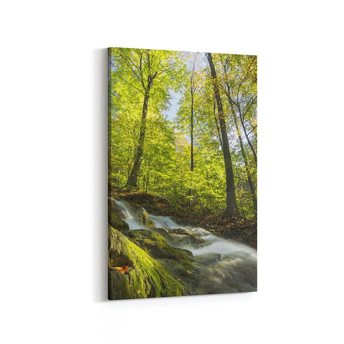 Olla 13605D Doğa / Manzara Görseli Dikey Kanvas Tablo (Ölçü: 40X60)