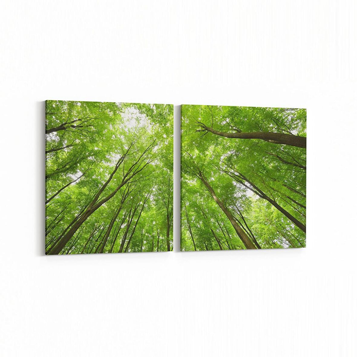 Olla 10778K2Y Ağaç Görseli Kare 2'li Yatay Kanvas Tablo (Ölçü: 105X50)