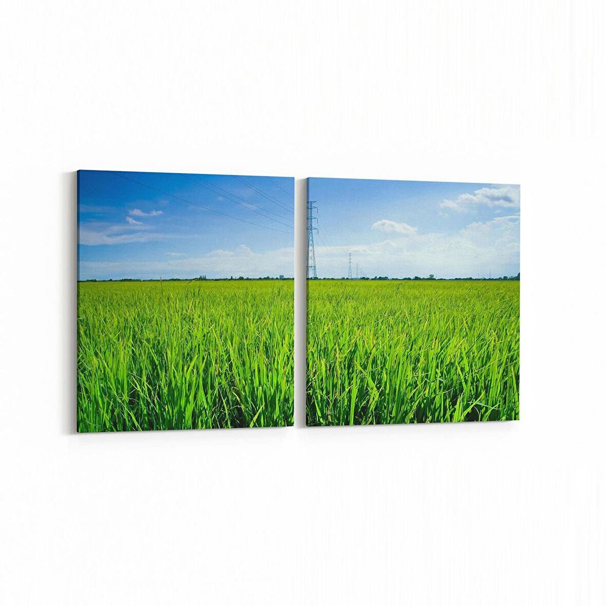 Olla 14556K2Y Doğa / Manzara Görseli Kare 2'li Yatay Kanvas Tablo (Ölçü: 125X60)