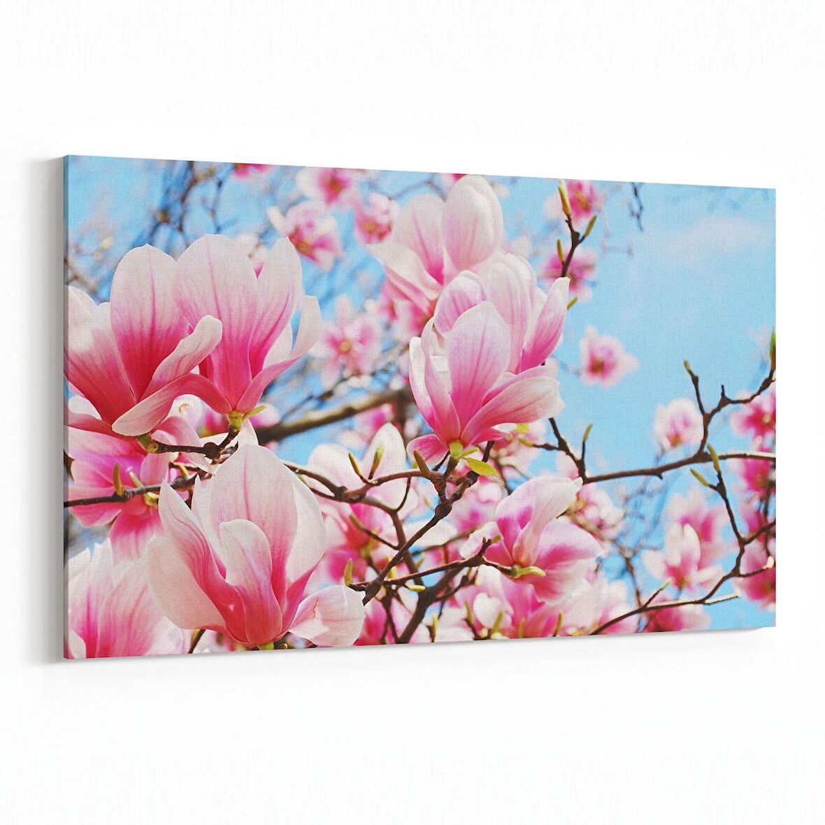 Olla 10561Y Ağaç Görseli Yatay Kanvas Tablo (Ölçü: 70X50)