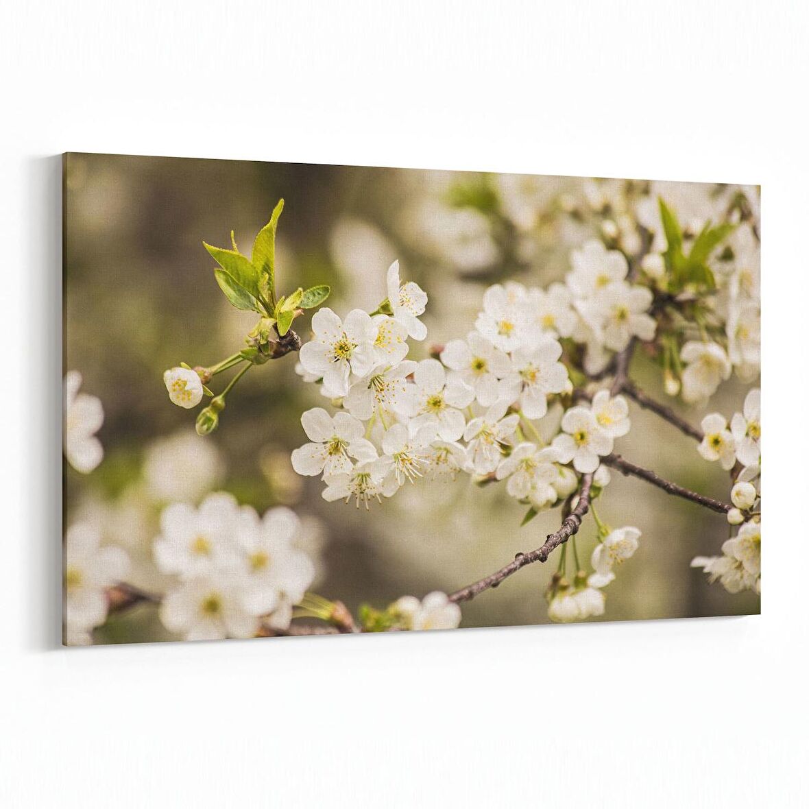 Olla 10955Y Ağaç Görseli Yatay Kanvas Tablo (Ölçü: 120X80)