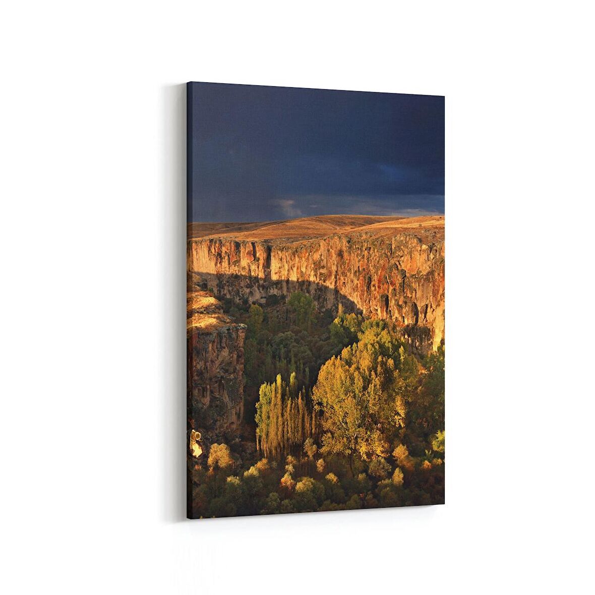 Olla 14474D Doğa / Manzara Görseli Dikey Kanvas Tablo (Ölçü: 100X150)