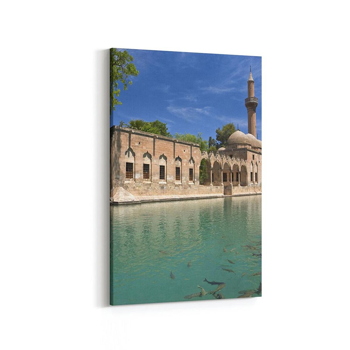 Olla 18972D Yapı Görseli Dikey Kanvas Tablo (Ölçü: 60X90)